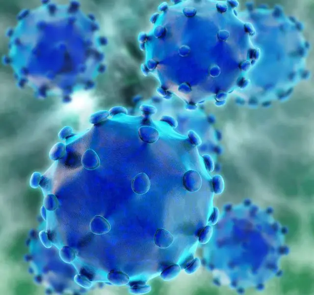 Hepatitis Virus - 3d rendered illustration