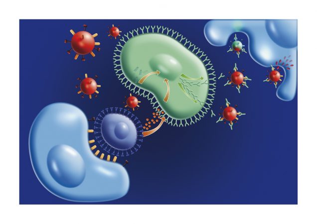 Mononucleosis