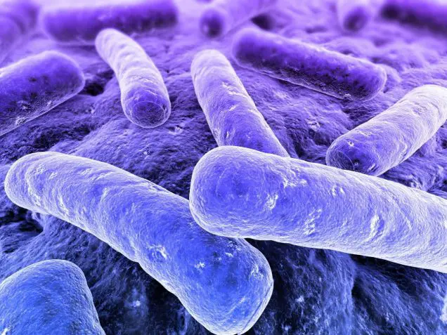 Nongonococcal urethritis