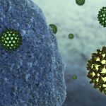 What is Hepatitis B