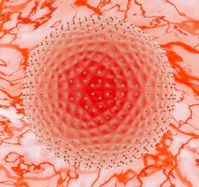 Chlamydia trachomatis microscopy magnification 3D illustration.