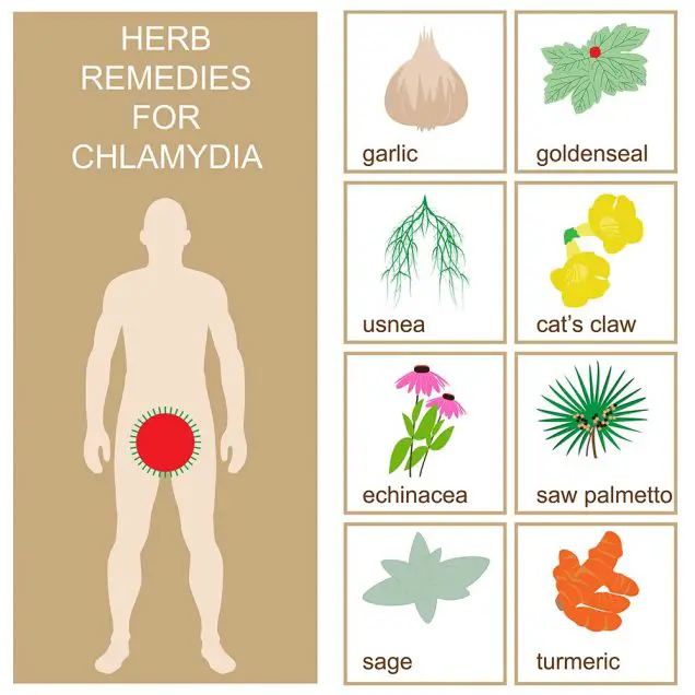 Herbal chlamydia remedies