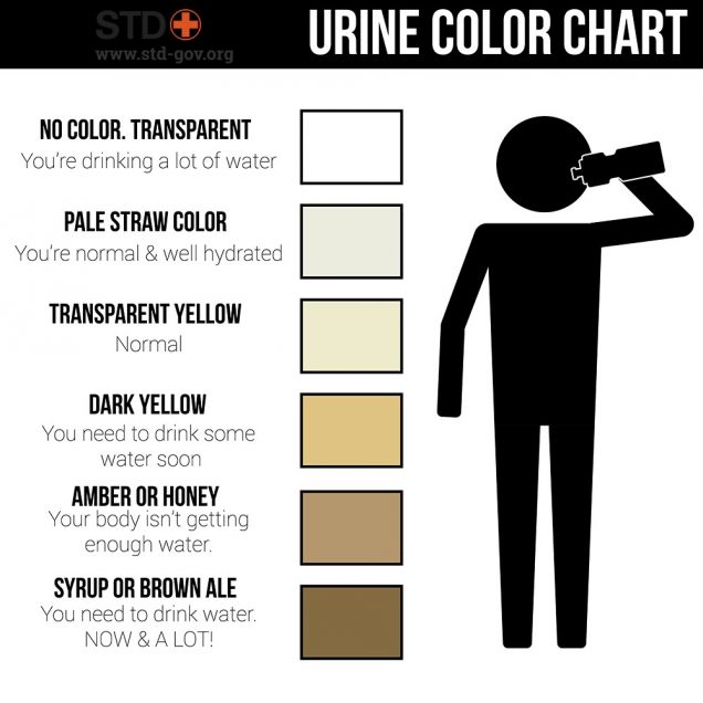 Urine color chart