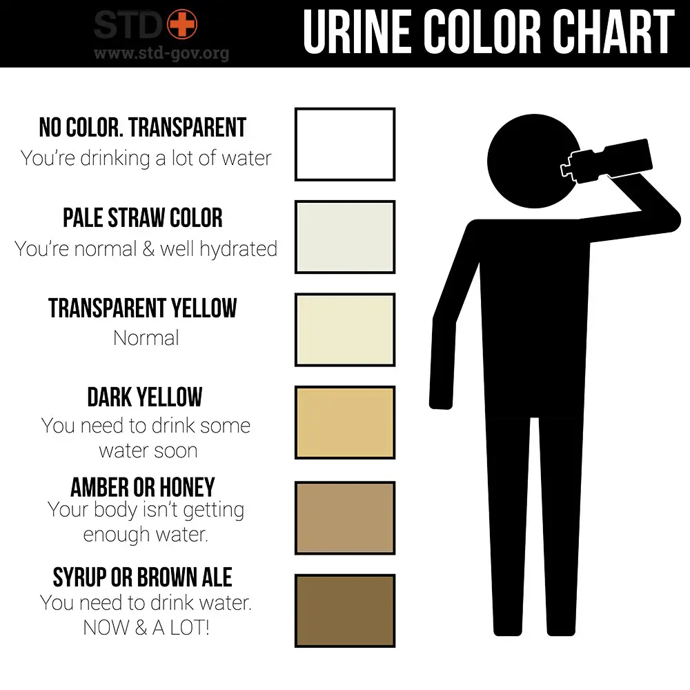 urine color dark water much chart drink too normal std health causes hydration does mean should really some symptoms when